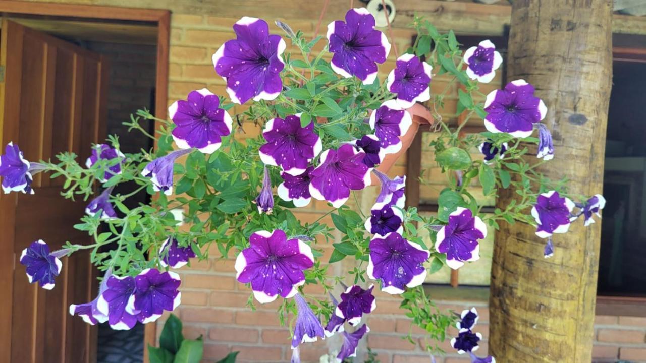 Chale Vale Das Flores - Visconde De Maua Rj Zewnętrze zdjęcie
